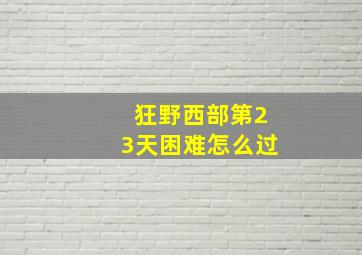 狂野西部第23天困难怎么过