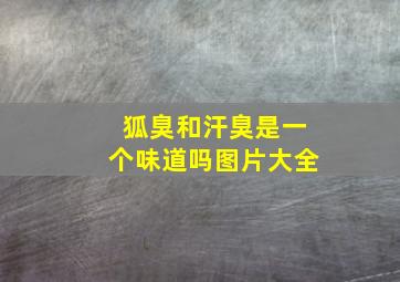 狐臭和汗臭是一个味道吗图片大全