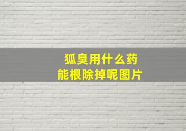 狐臭用什么药能根除掉呢图片