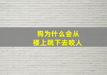 狗为什么会从楼上跳下去咬人