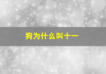 狗为什么叫十一