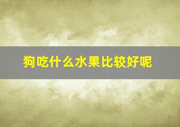 狗吃什么水果比较好呢