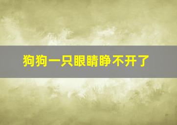 狗狗一只眼睛睁不开了