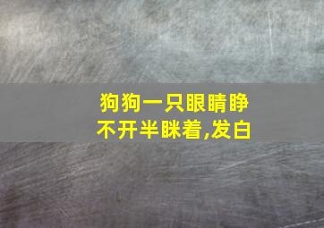 狗狗一只眼睛睁不开半眯着,发白