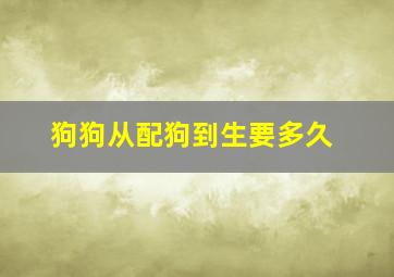 狗狗从配狗到生要多久