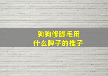 狗狗修脚毛用什么牌子的推子