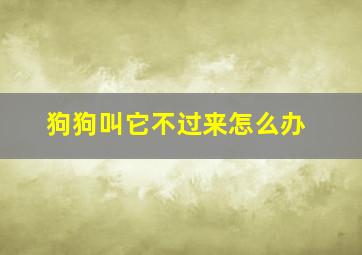 狗狗叫它不过来怎么办