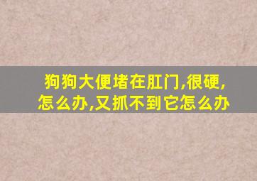 狗狗大便堵在肛门,很硬,怎么办,又抓不到它怎么办