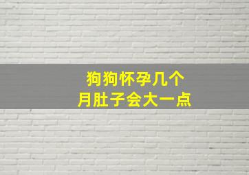 狗狗怀孕几个月肚子会大一点