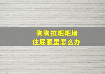 狗狗拉粑粑堵住屁眼里怎么办