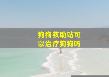 狗狗救助站可以治疗狗狗吗