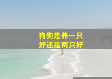 狗狗是养一只好还是两只好