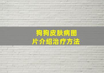 狗狗皮肤病图片介绍治疗方法