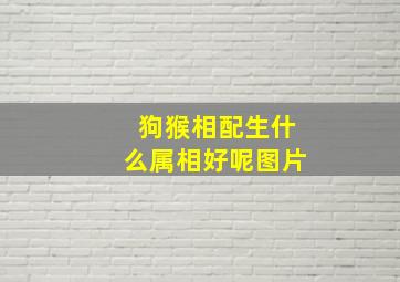 狗猴相配生什么属相好呢图片