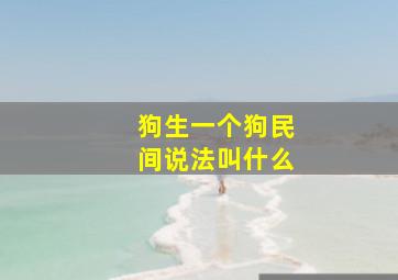 狗生一个狗民间说法叫什么