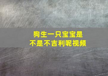 狗生一只宝宝是不是不吉利呢视频