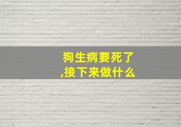 狗生病要死了,接下来做什么