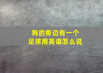 狗的旁边有一个足球用英语怎么说