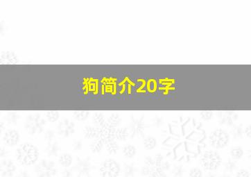 狗简介20字