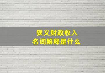 狭义财政收入名词解释是什么