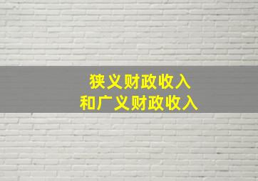 狭义财政收入和广义财政收入