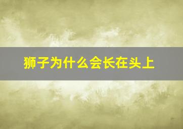 狮子为什么会长在头上