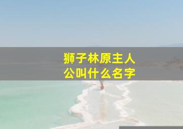 狮子林原主人公叫什么名字