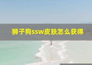 狮子狗ssw皮肤怎么获得