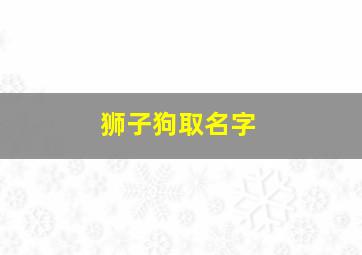 狮子狗取名字