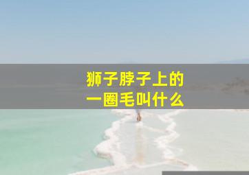 狮子脖子上的一圈毛叫什么