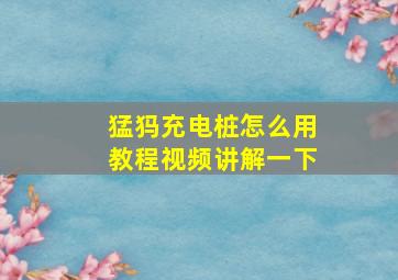 猛犸充电桩怎么用教程视频讲解一下