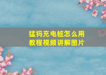 猛犸充电桩怎么用教程视频讲解图片