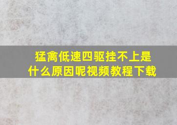 猛禽低速四驱挂不上是什么原因呢视频教程下载