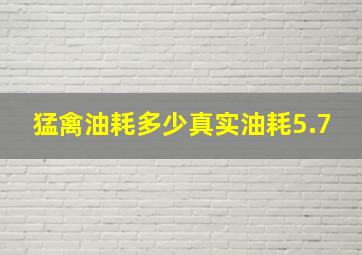 猛禽油耗多少真实油耗5.7