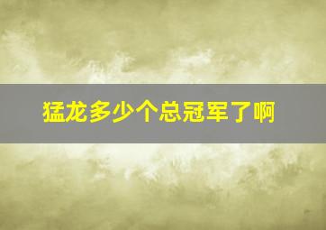 猛龙多少个总冠军了啊