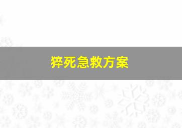 猝死急救方案