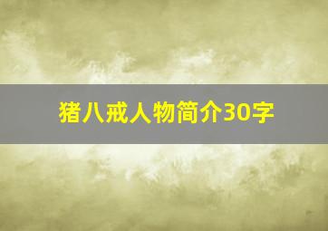 猪八戒人物简介30字