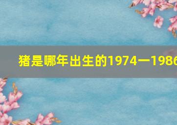 猪是哪年出生的1974一1986