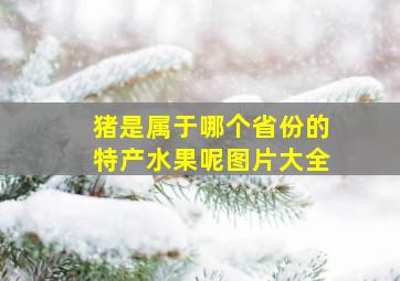 猪是属于哪个省份的特产水果呢图片大全