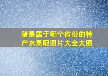 猪是属于哪个省份的特产水果呢图片大全大图