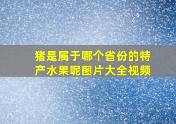 猪是属于哪个省份的特产水果呢图片大全视频