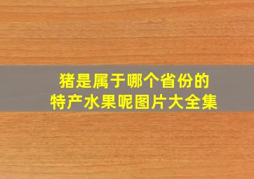 猪是属于哪个省份的特产水果呢图片大全集