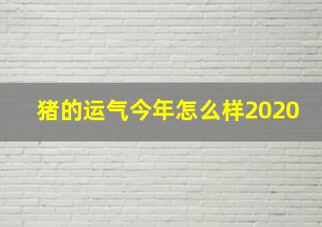 猪的运气今年怎么样2020