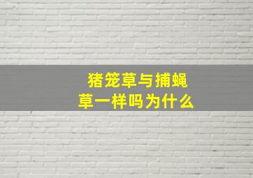 猪笼草与捕蝇草一样吗为什么