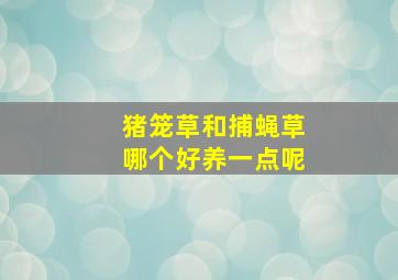 猪笼草和捕蝇草哪个好养一点呢