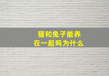 猫和兔子能养在一起吗为什么