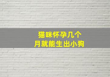 猫咪怀孕几个月就能生出小狗