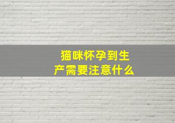 猫咪怀孕到生产需要注意什么