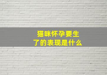 猫咪怀孕要生了的表现是什么