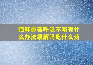 猫咪鼻塞呼吸不畅有什么办法缓解吗吃什么药